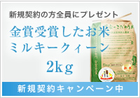 新規契約の方全員にプレゼント　金賞受賞したお米ミルキークィーン2kg