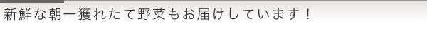 新鮮な野菜もお届けしています！